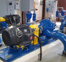 Capri Pump Station Upgrade
