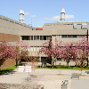 York University Design-Build Project